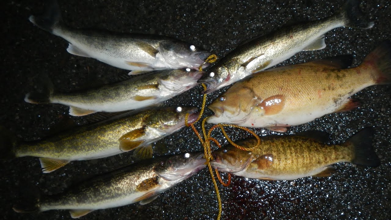 Lure Fishing #139 - River Night Fishing for Walleye, Bass, and Big Fallfish  