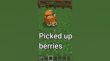 Foxes can Use Totems of Undying? #shorts