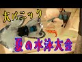 【泳げない】夏の水泳大会実施したらはなまさ大パニック