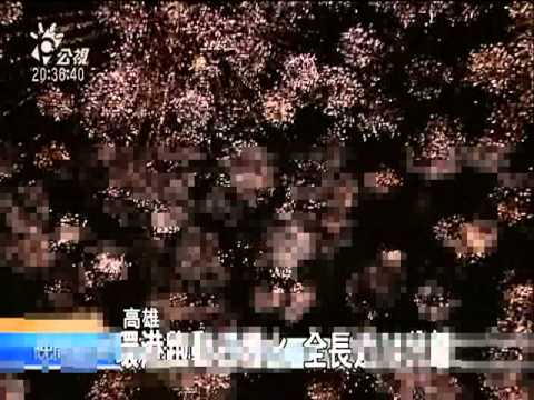 20110210 公視晚間新聞周六高雄燈會 環港煙火先睹為快