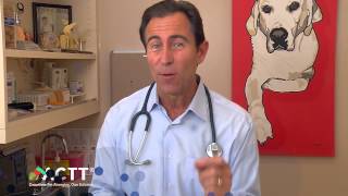 10 - Cost of Allergy Testing