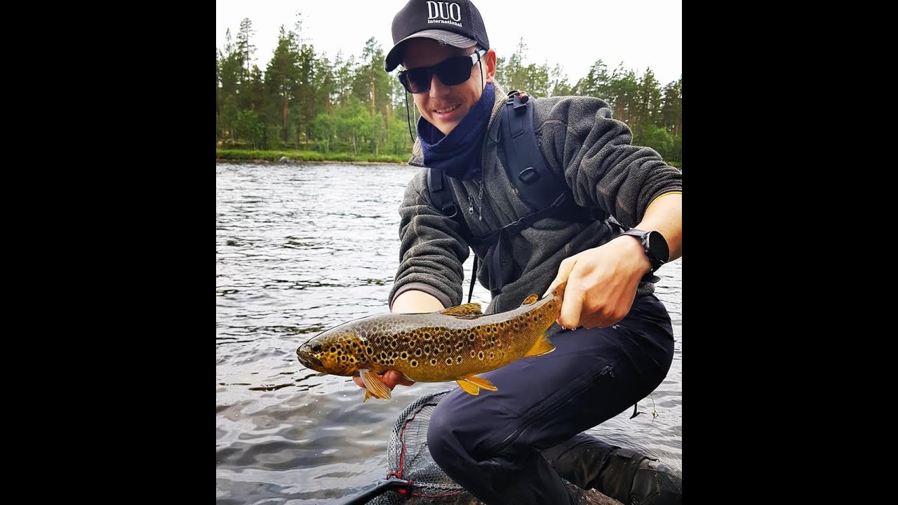 Ørretfiske i Femundselva-Vi fant fisken på helt andre områder.