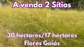 A venda 2 Sítios 30 hectares/17 hectares - Flores Goiás