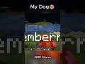My Dog Died😭