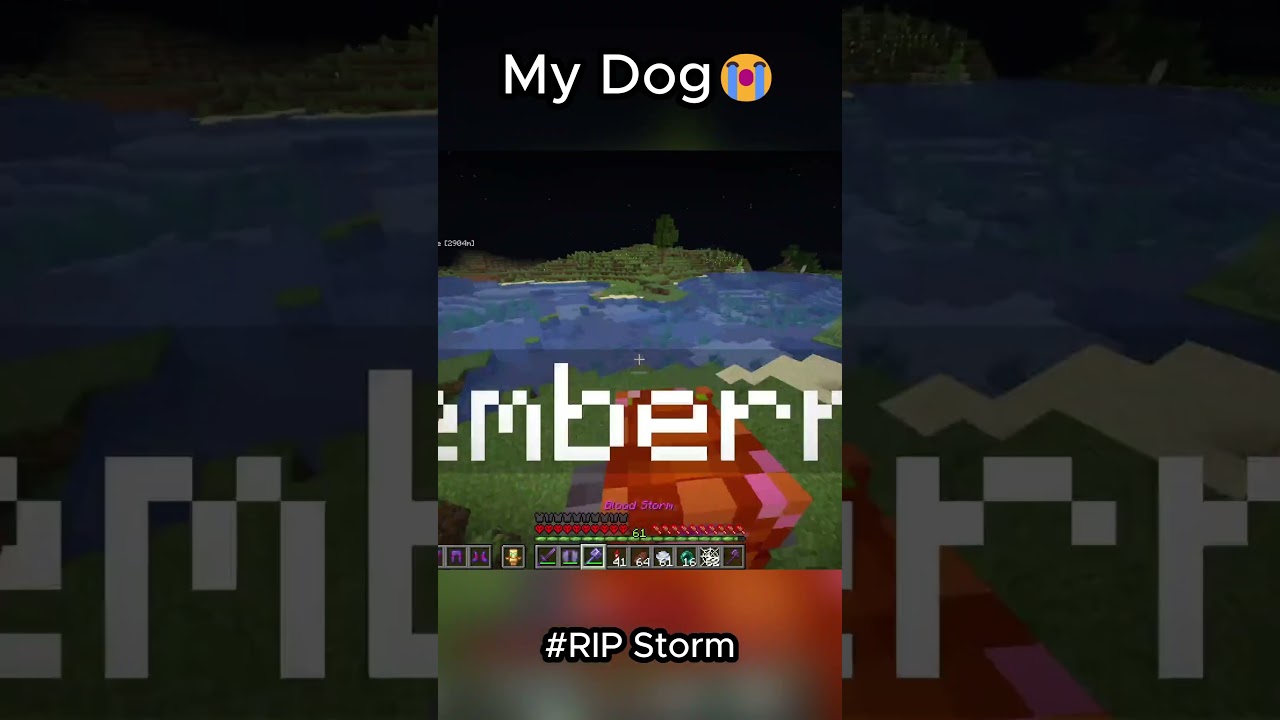 My Dog Died😭