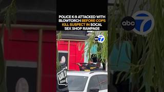 Police shoot, kill man who set K-9, himself on fire inside adult store