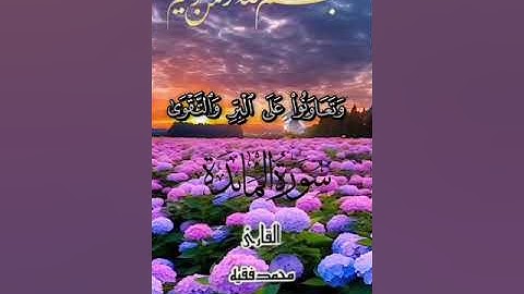 آيات من سورة المائدة القارئ محمد الفقيه