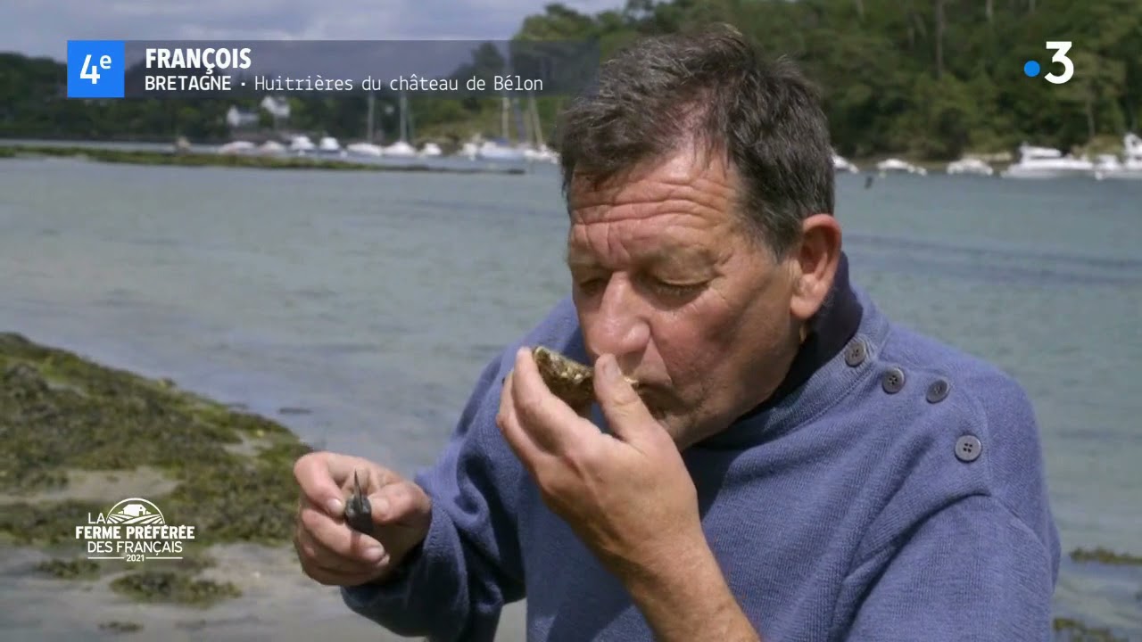 Huîtrières du Château de Bélon- Bretagne - La ferme préférée des Français  2021