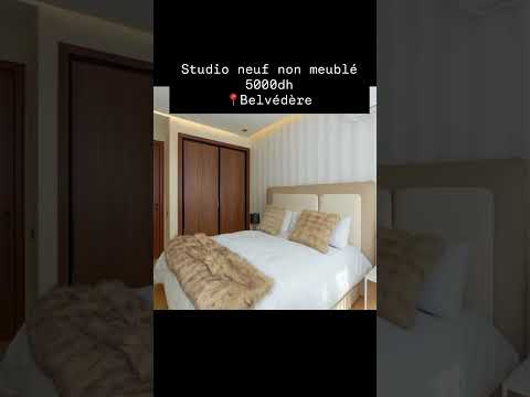 استوديو جديد بيلفيدير + 212 654-749668