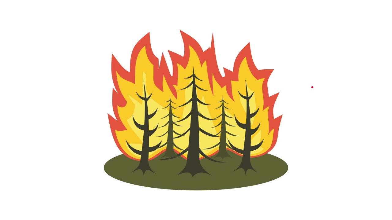 Predicting The Area Burned By Forest Fire using BootML