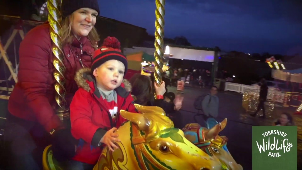 2018: a WILD year at Yorkshire Wildlife Park - YouTube