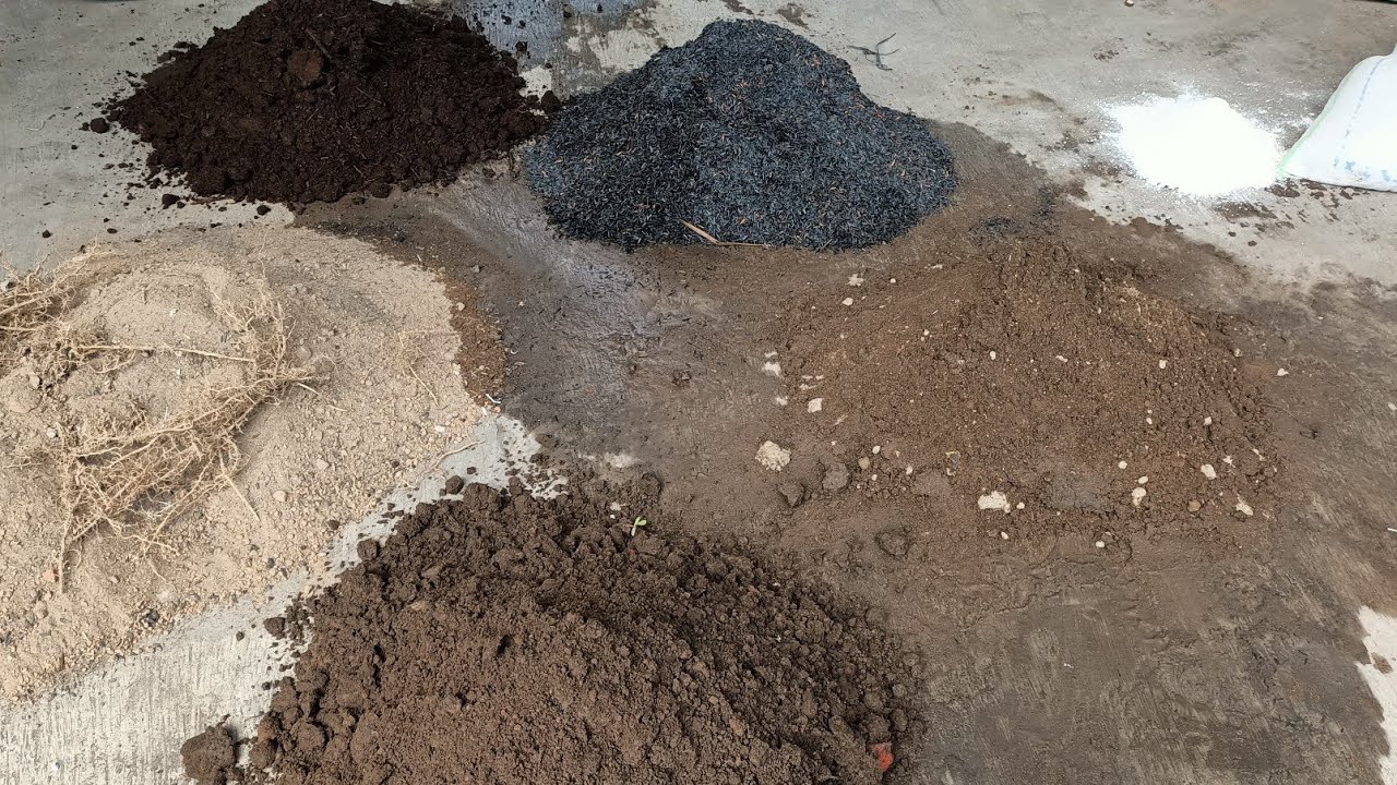 Membuat Media Terbaik Untuk Anggur