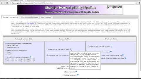 Introduction and job submission tutorial (SMPS)