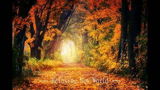 The Silent Echo: Meditation Music for Inner Reflection & Serenity