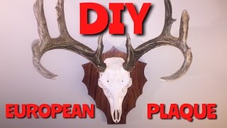 HOW TO MAKE A PLAQUE FOR A EUROPEAN MOUNT