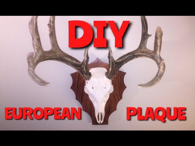 HOW TO MAKE A PLAQUE FOR A EUROPEAN MOUNT - YouTube