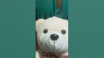 41°43′57′′ N 49°56′49′′ W.