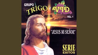 Vignette de la vidéo "Grupo Trigo y Vid - Ten Piedad"