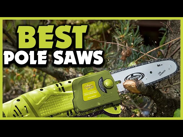 The 11 Best Pole Saws of 2023