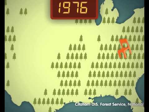 US Paper and Forests