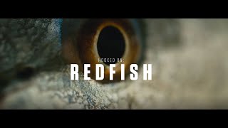 Hooked On: Redfish | COSTA FILMS