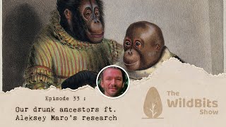 Our drunk ancestors? ft. Aleksey Maro's research - The Wild Bits Show February 22, 2026