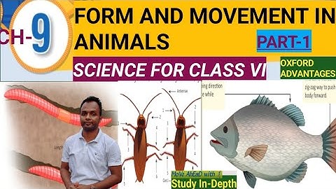 Form and Movement In Animals |Science||Part-1|Class-VI |Chapter-9|Oxford |Study In Depth |In Hindi|
