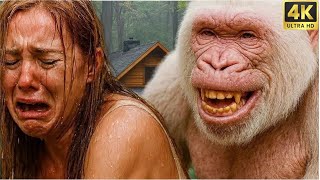 Life 4.3 Million Years Ago | King Kong and Beauty - Rescue the Girl Attacked by a Giant Spider