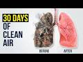 Your LUNGS After 30 Days Without Toxins
