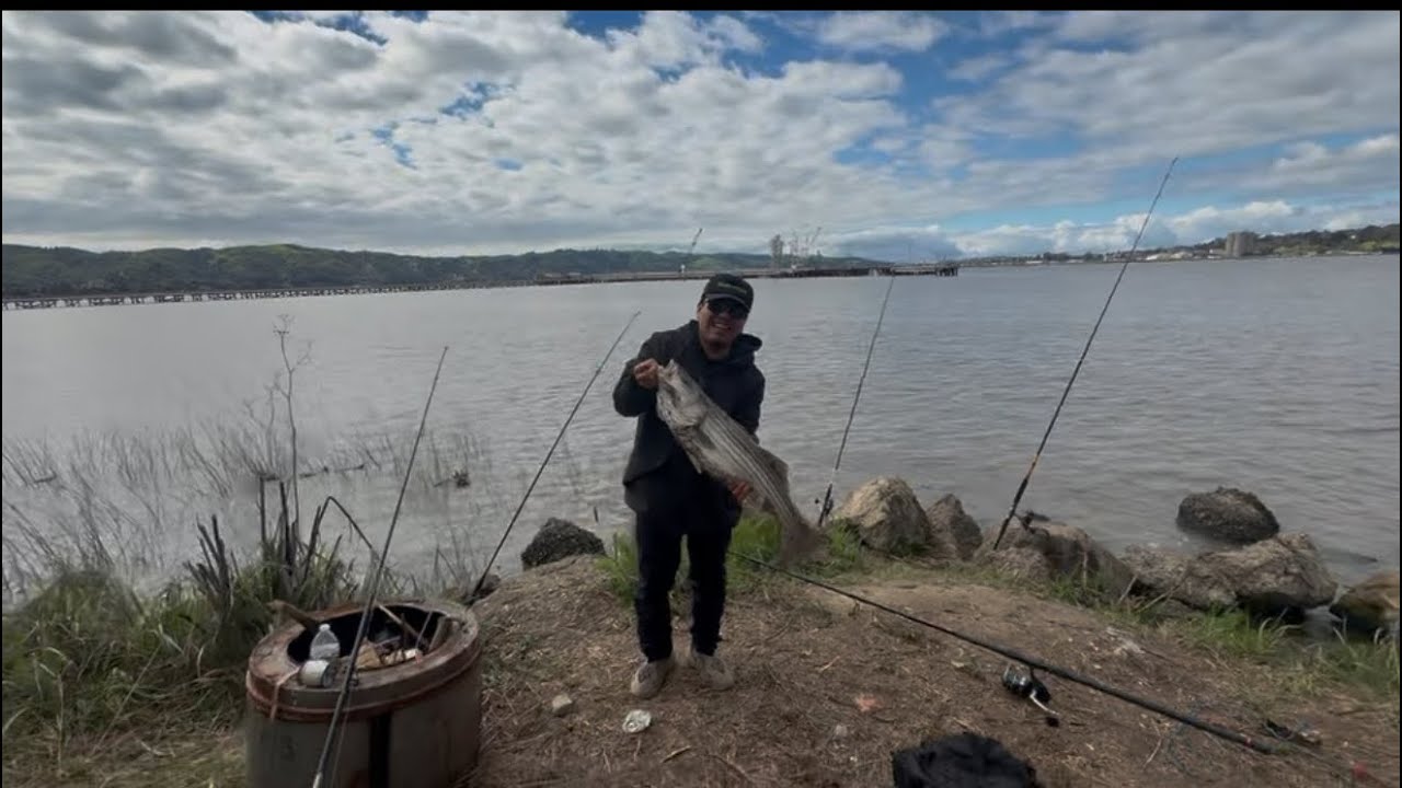 33 inch stripedbass caught an record by my lil Brother #fishing #family #fish #californiadelta #33