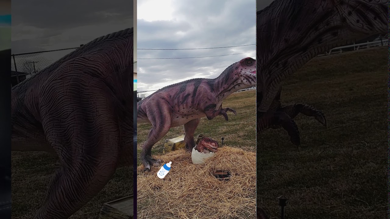 Jurassic Wonder Drive-Thru//Sisters finding dinosaurs 👀🕵🏻‍♀️🕵🏻‍♀️🦕🦖