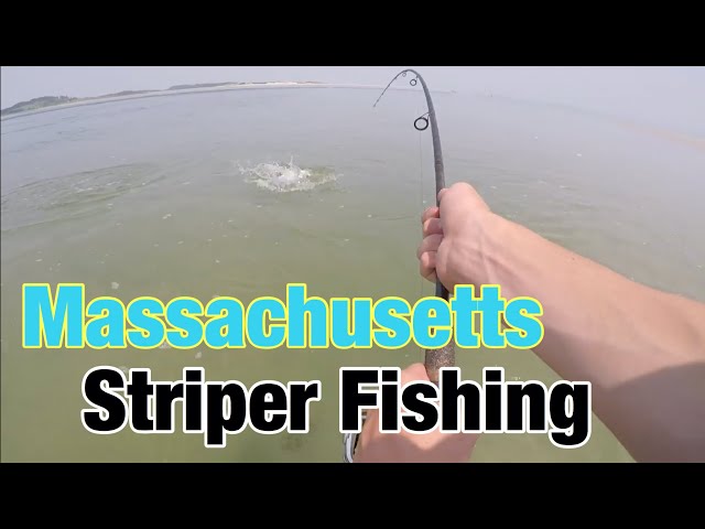Massachusetts STRIPER Fishing! (Surf Fishing) 
