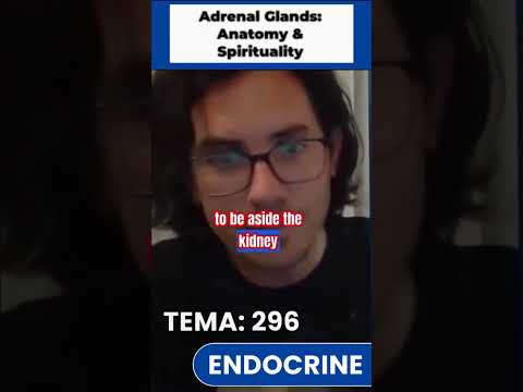 #297 Adrenal Glands  Latin Meaning Explained! What's Beside Your Kidneys #matíasdestefano