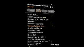 malu² macambunga putri malu #liriklagu