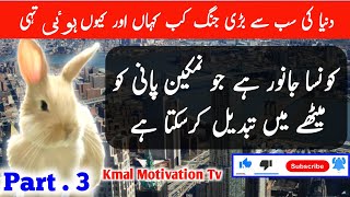 Heart Touching Information About Animals In Urdu Malomati Video