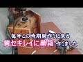 日曜大工 廃材で黄セキレイ用の巣箱作りました