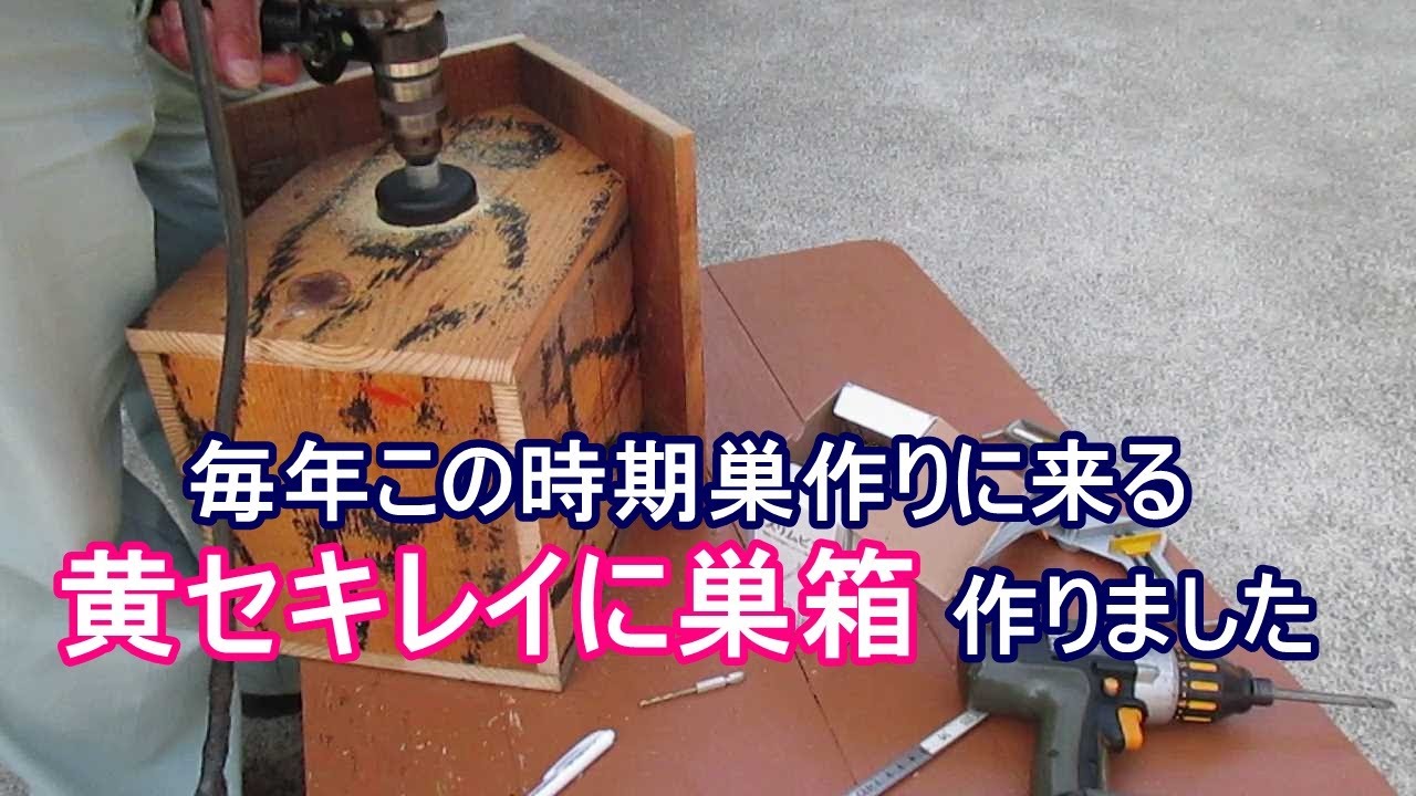 日曜大工 廃材で黄セキレイ用の巣箱作りました - YouTube