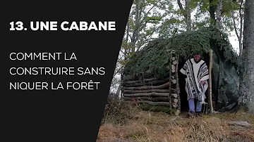 Comment fabriquer une cabane en bois dans la forêt ?