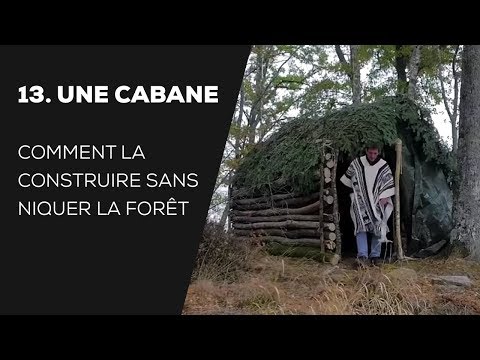 Vidéo: Comment Construire Une Cabane Dans La Forêt