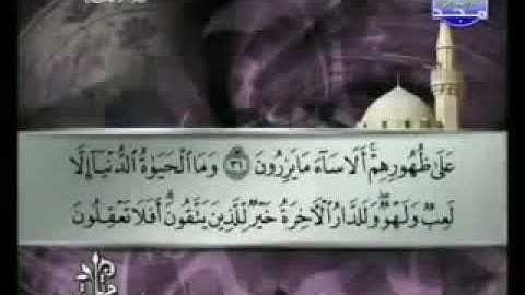 سورة الأنعام 6 - 114  توفيق الصائغ - قراءة مرتلة