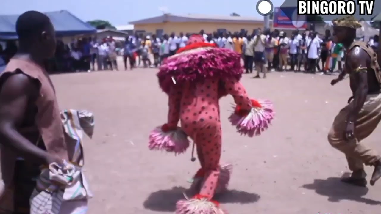 (panthère ) rendez-vous a BINGORO, édition 2025