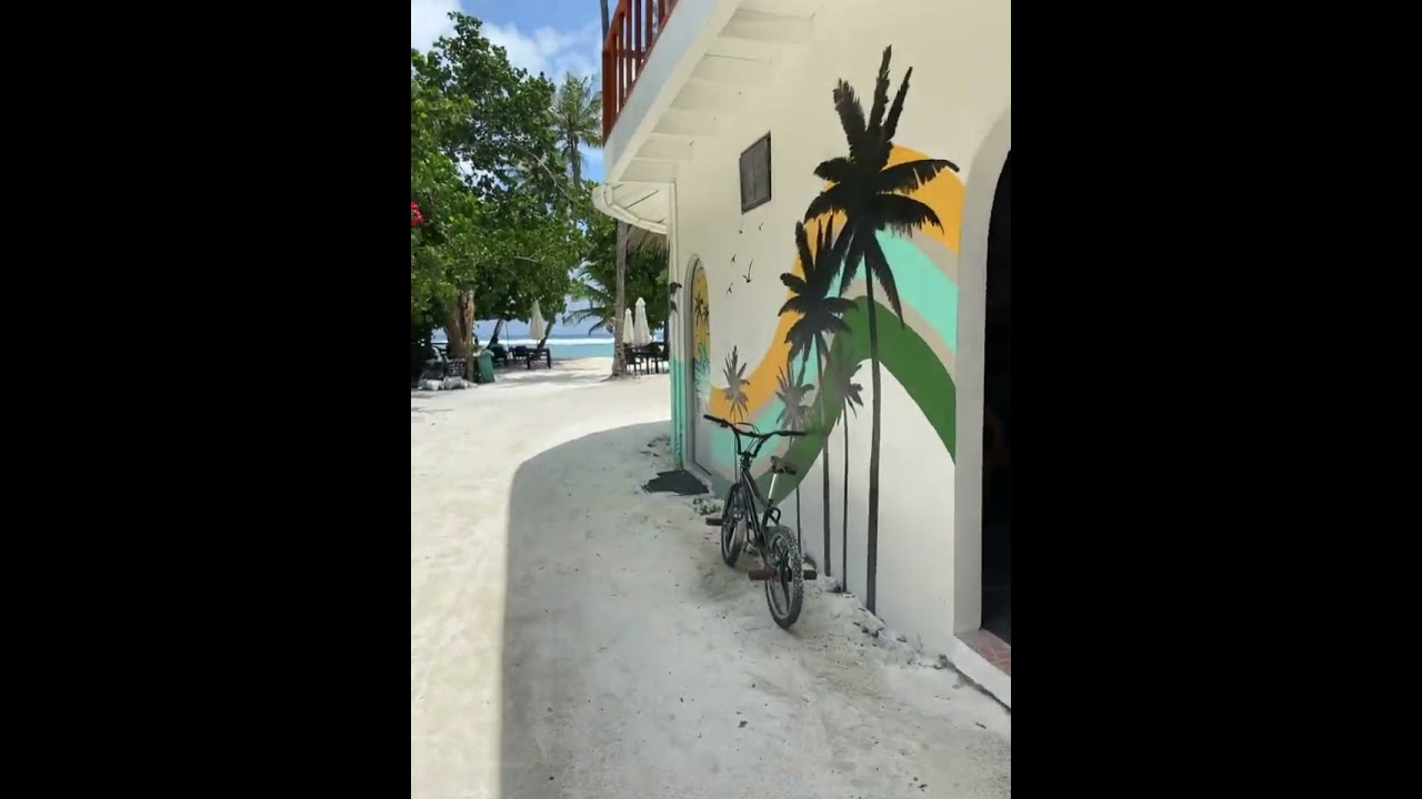 🌴 Thulusdhoo, Maldives 🇲🇻 