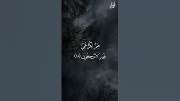 صُمٌّ بُكْمٌ عُمْيٌ - القارئ: محمد دياب