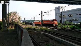 2021/04/08 7801次貨物列車長編散貨短軍大湖進站停車再開/7202次貨物列車大湖通過