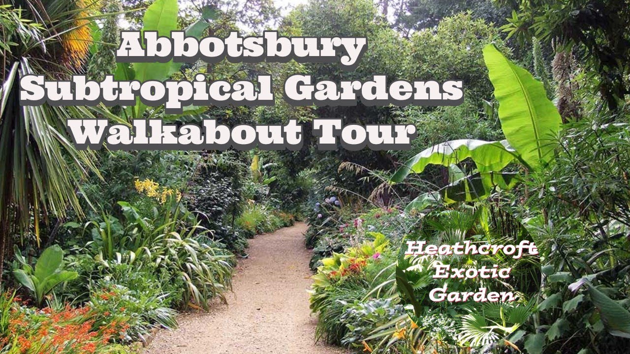 Abbotsbury Subtropical Gardens Walkabout Tour