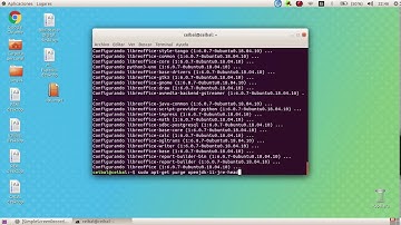 Como descargar Java 8 y borrar el Java 11 en ubuntu [100 seguro%]