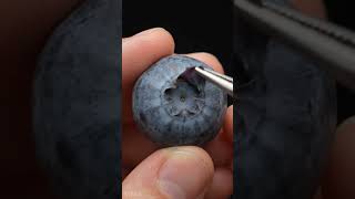 Blueberry Skin Peel ASMR 🤏 Ultra Realistic Macro Satisfying Video