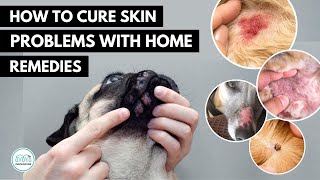 How To treat 5 Skin infection in dogs  with home remedies.