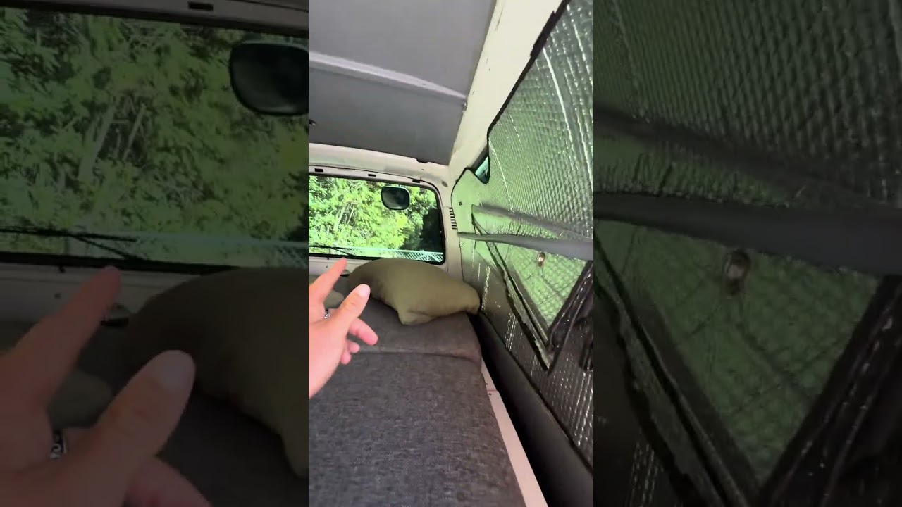 Campervan Sale Christchurch NZ 2026