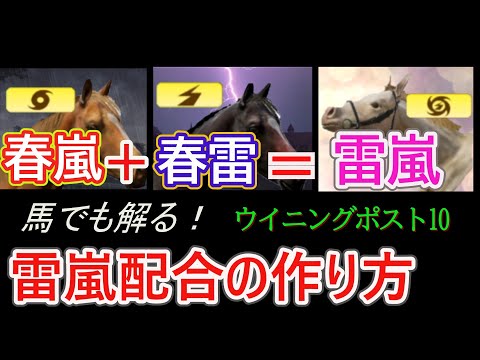 [Winning Post 10] Create Spring Storm and Spring Thunder to create a foal! Complete the Triple Cr...